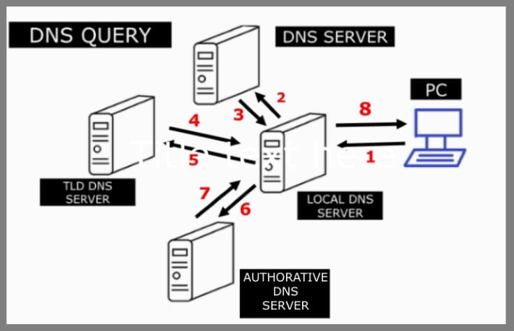 Почему dns нет в e katalog