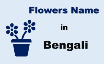 Flowers name in Bengali