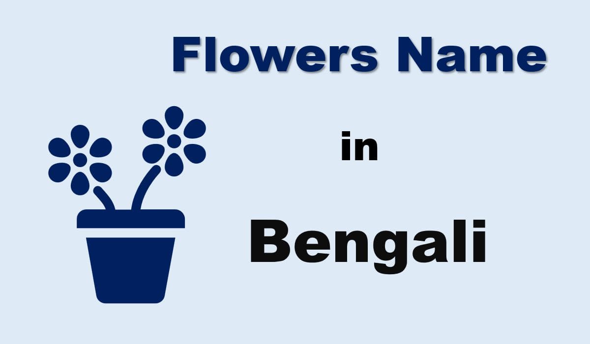 Flowers Name In Bengali Netkibaten